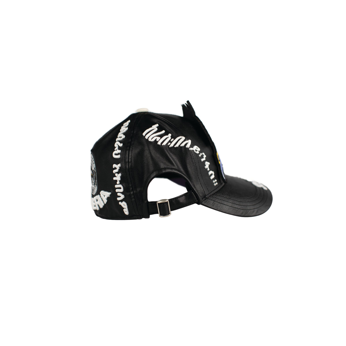 "THE LION CONDOR" Cap (Black)