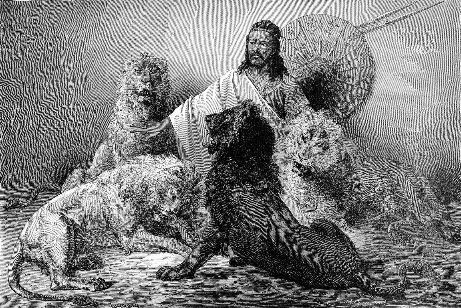 Image 14